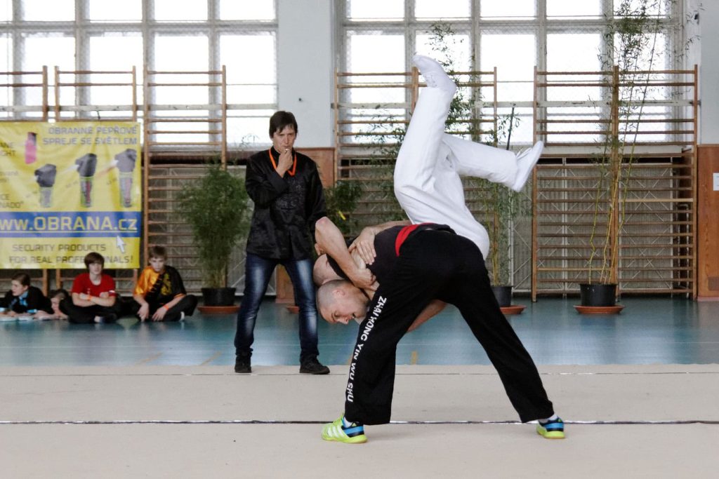 shaolin-kung-fu-cinsky-zapas